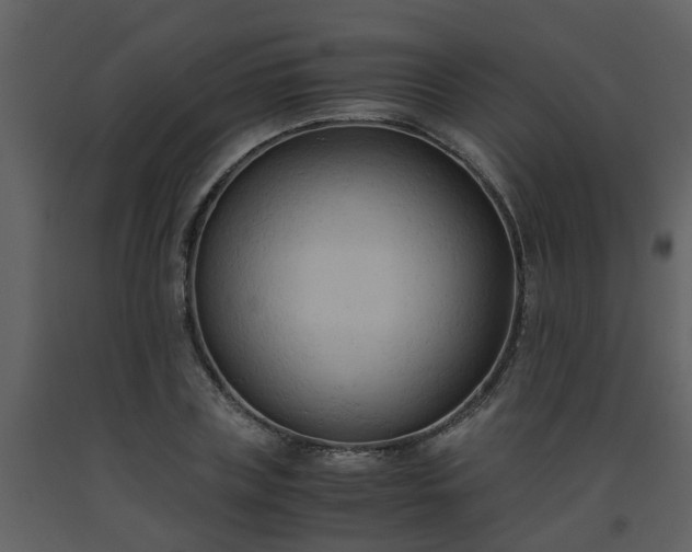 X0000093590835200710221522