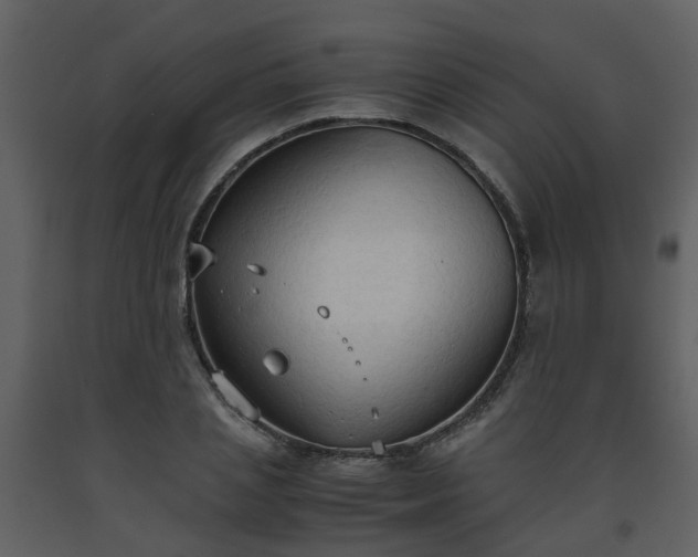 X0000093590837200710221522