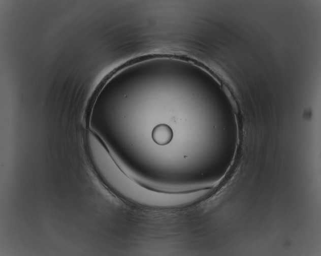 X0000093590838200710221522