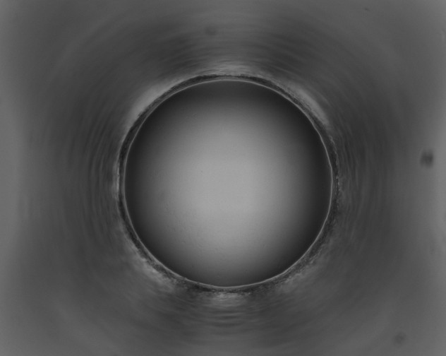 X0000093590839200710221522