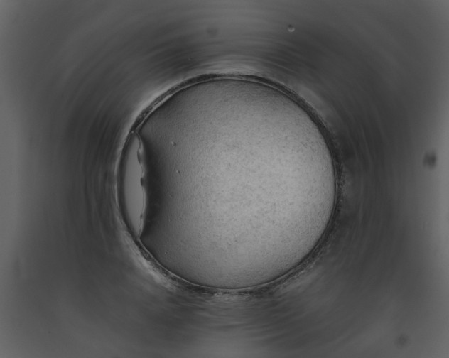 X0000093590840200710221522