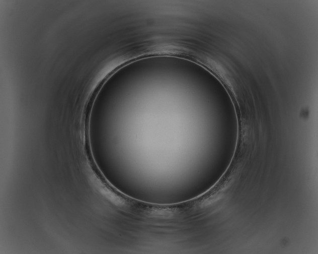 X0000093590843200710221522