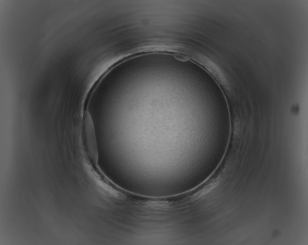 X0000093590844200710221522
