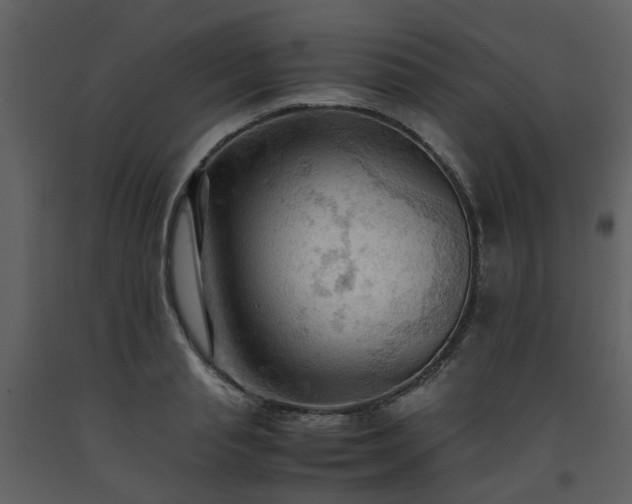 X0000093590845200710221522