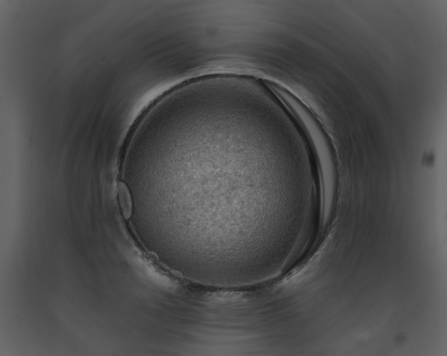 X0000093590846200710221522