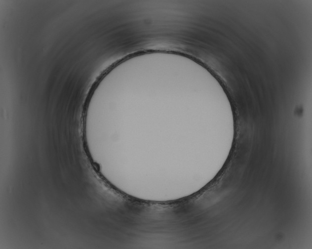 X0000093590848200710221522