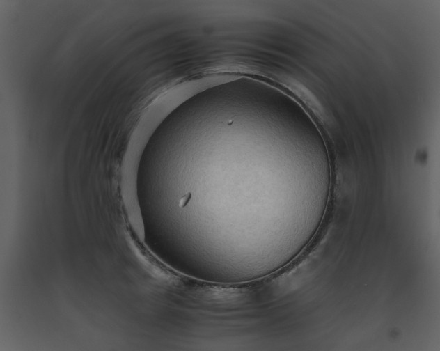 X0000093590849200710221522