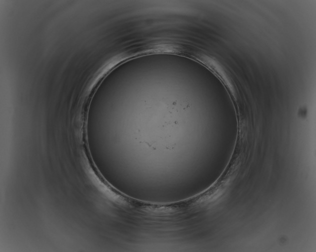 X0000093590851200710221522