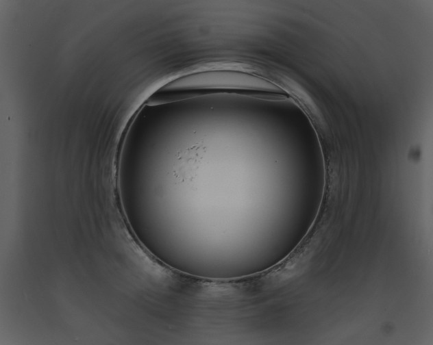 X0000093590852200710221522