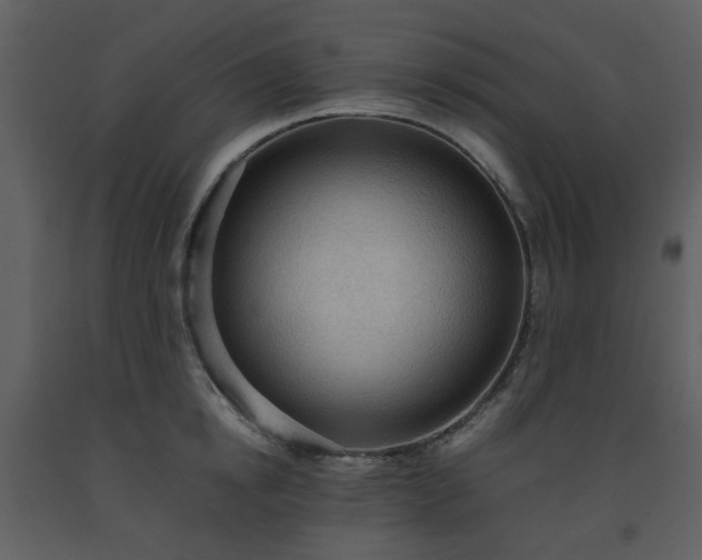 X0000093590854200710221522