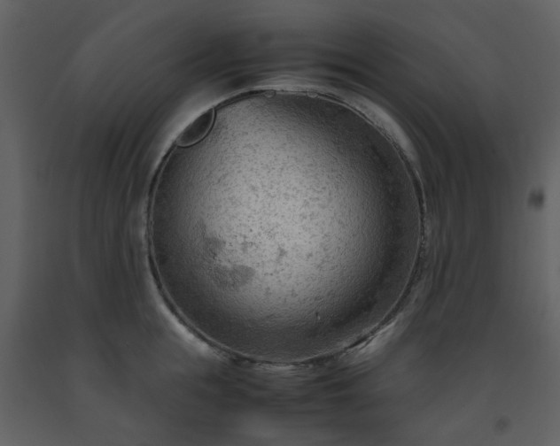 X0000093590855200710221522