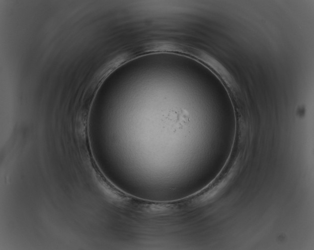 X0000093590857200710221522