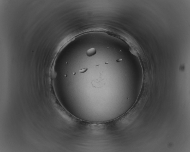 X0000093590858200710221522