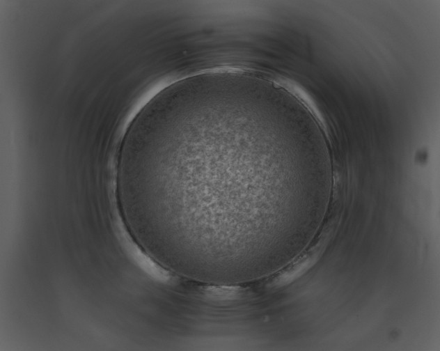X0000093590859200710221522