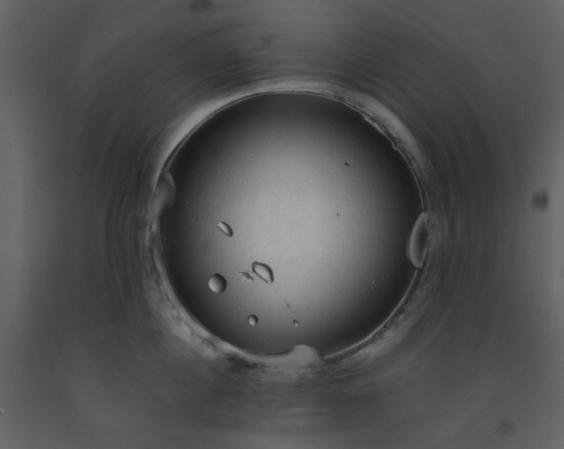 X0000093590860200710221522