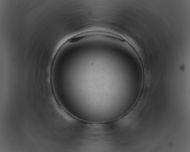 X0000093590862200710221522