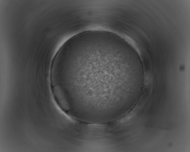 X0000093590863200710221522