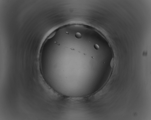 X0000093590864200710221522
