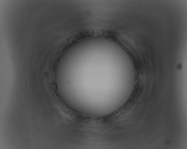 X0000093590865200710221521