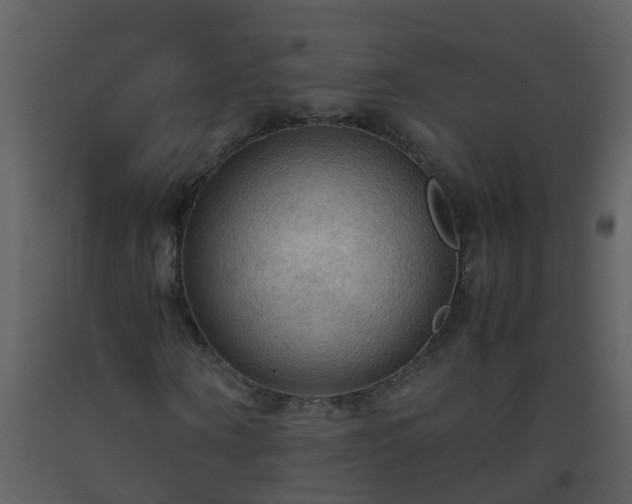 X0000093590866200710221521