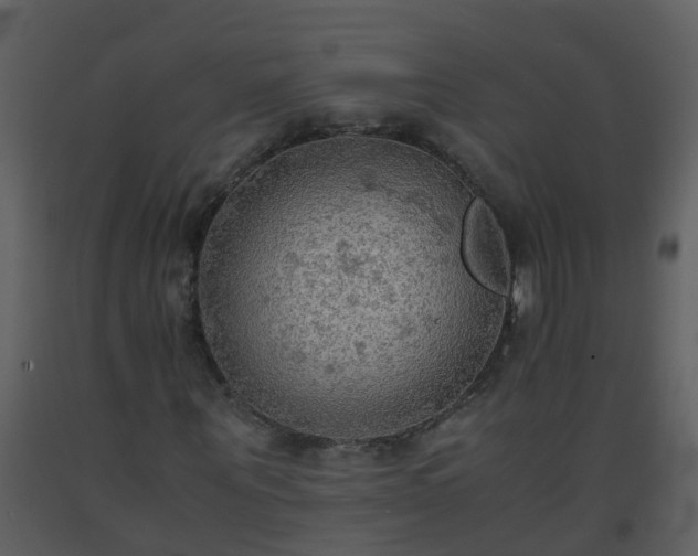 X0000093590867200710221521