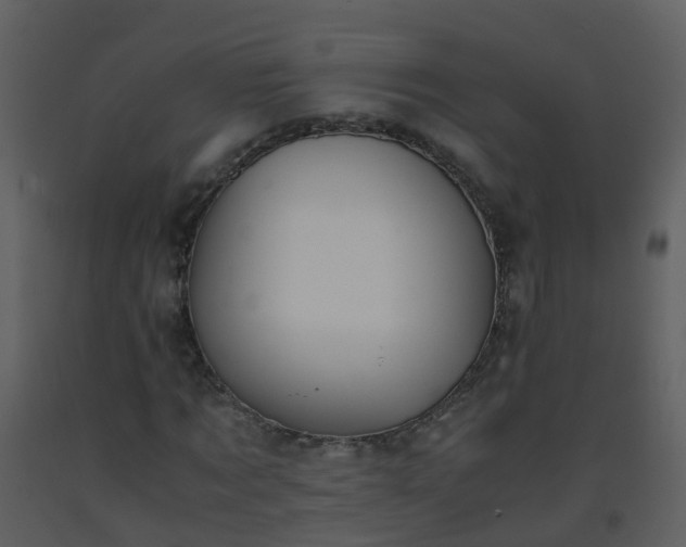 X0000093590869200710221521