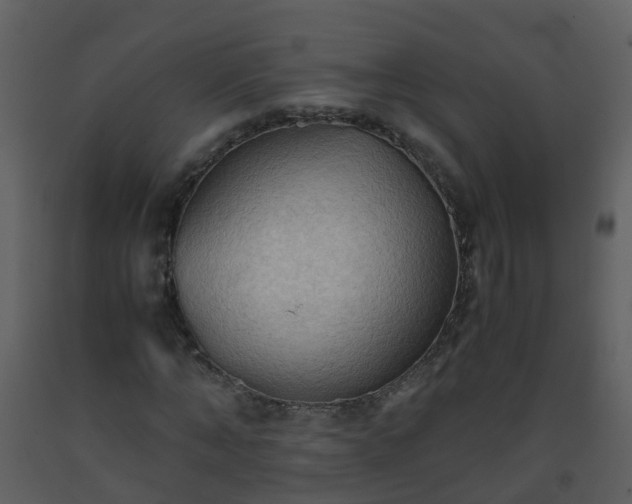 X0000093590870200710221521