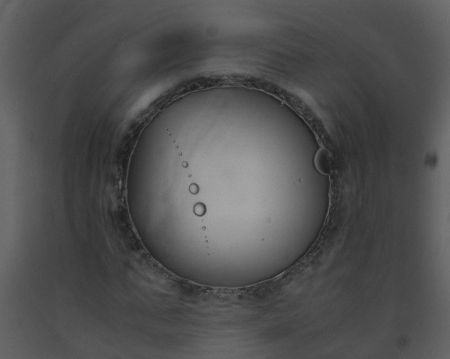 X0000093590871200710221521