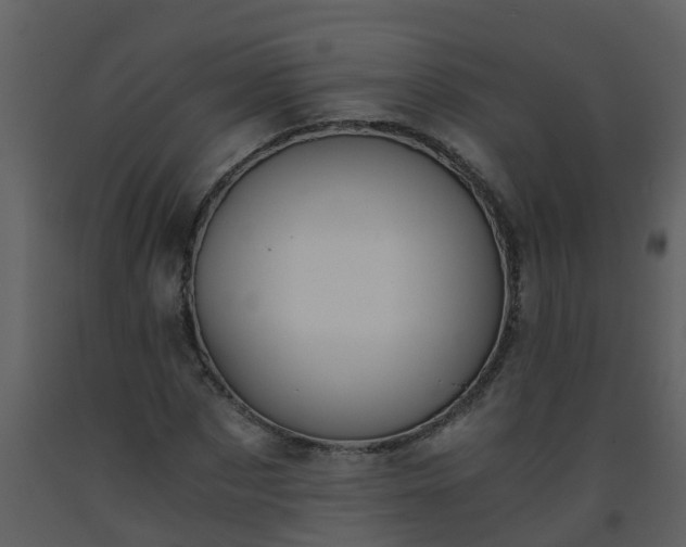 X0000093590873200710221521