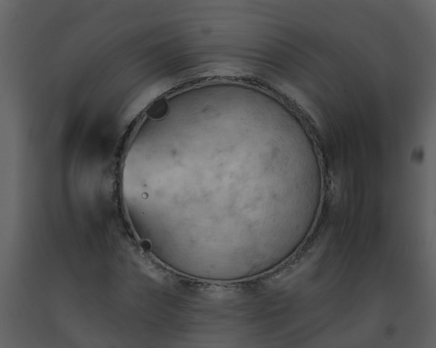 X0000093590874200710221521