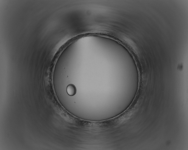X0000093590875200710221521