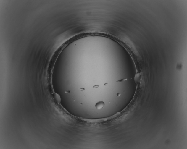 X0000093590876200710221521