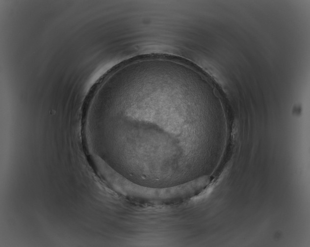 X0000093590877200710221521