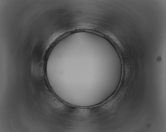 X0000093590878200710221521