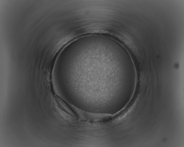 X0000093590881200710221521