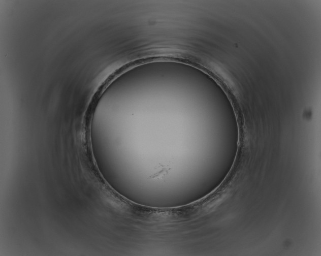 X0000093590883200710221521