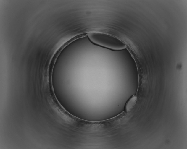 X0000093590884200710221521