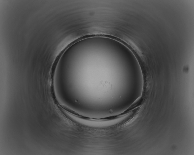 X0000093590885200710221521