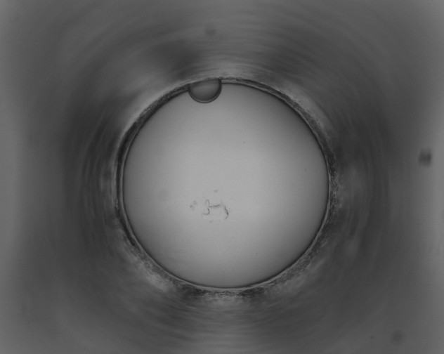 X0000093590886200710221521