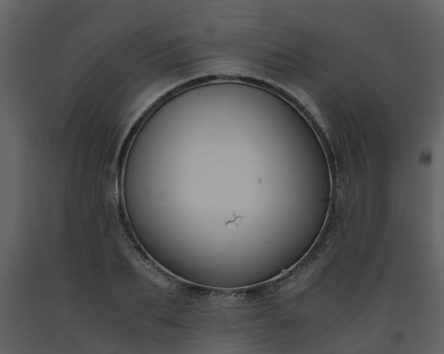 X0000093590887200710221521