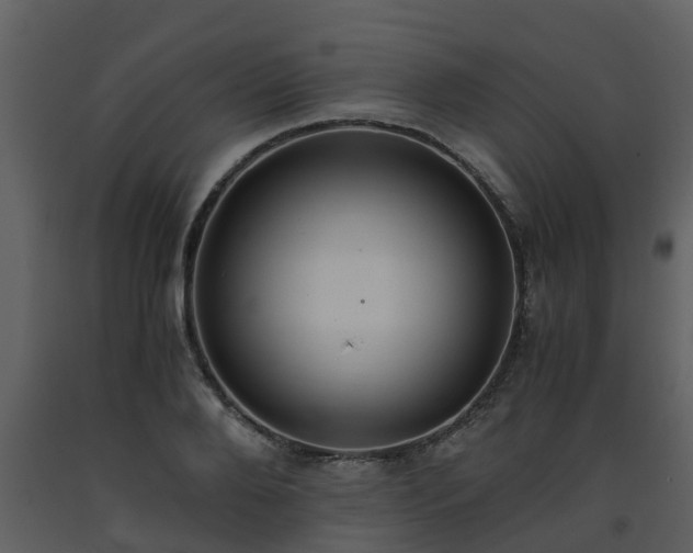X0000093590888200710221521