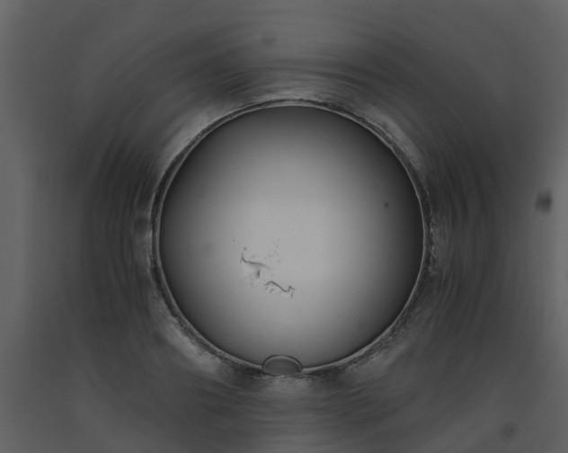 X0000093590890200710221521