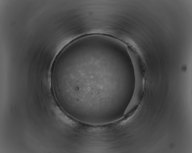 X0000093590892200710221521