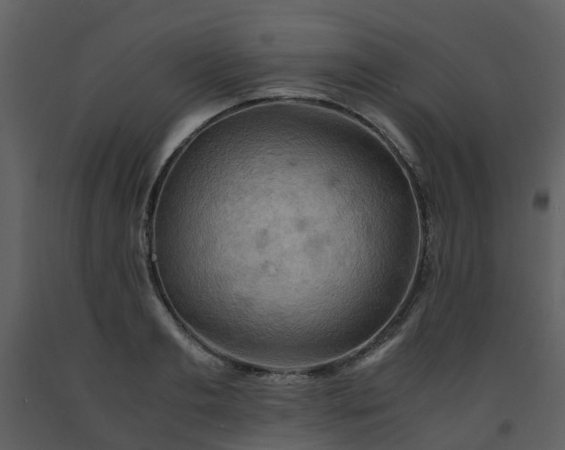 X0000093590893200710221521