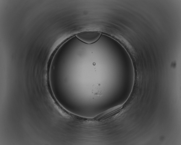 X0000093590894200710221521