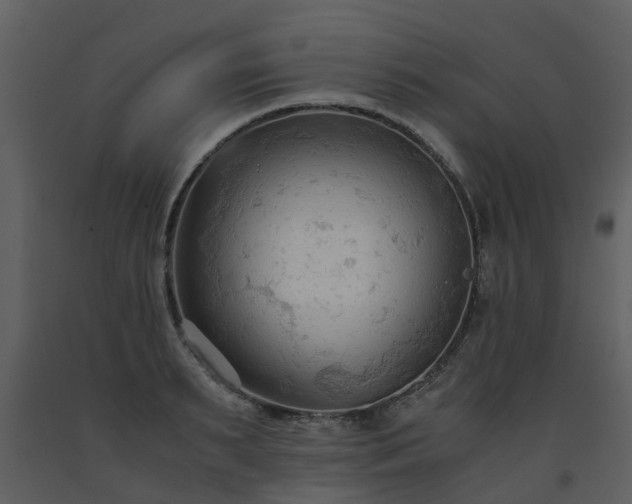 X0000093590895200710221521