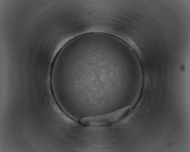 X0000093590896200710221521