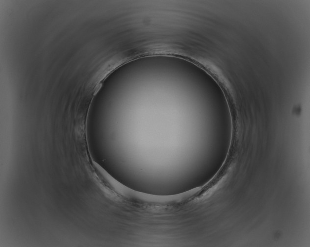 X0000093590897200710221521