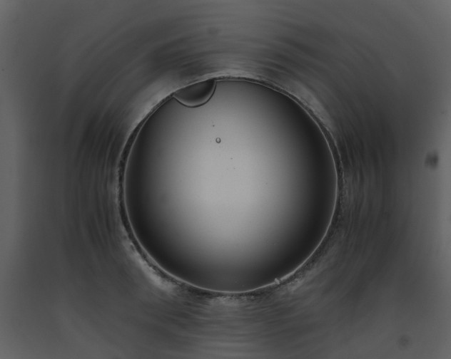 X0000093590898200710221521