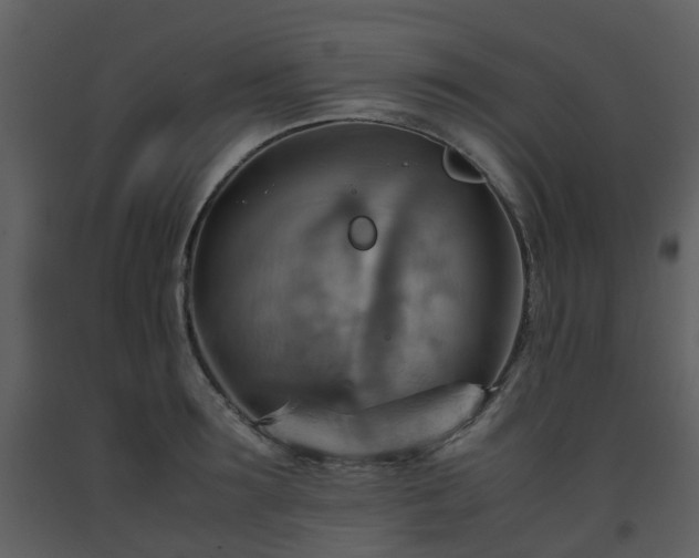 X0000093590899200710221521